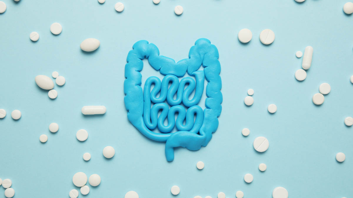 AMIRAWelt Magazin Durchfall durch Antibiotika der Darm im... AMIRAWelt Magazin Durchfall durch Antibiotika der Darm im...