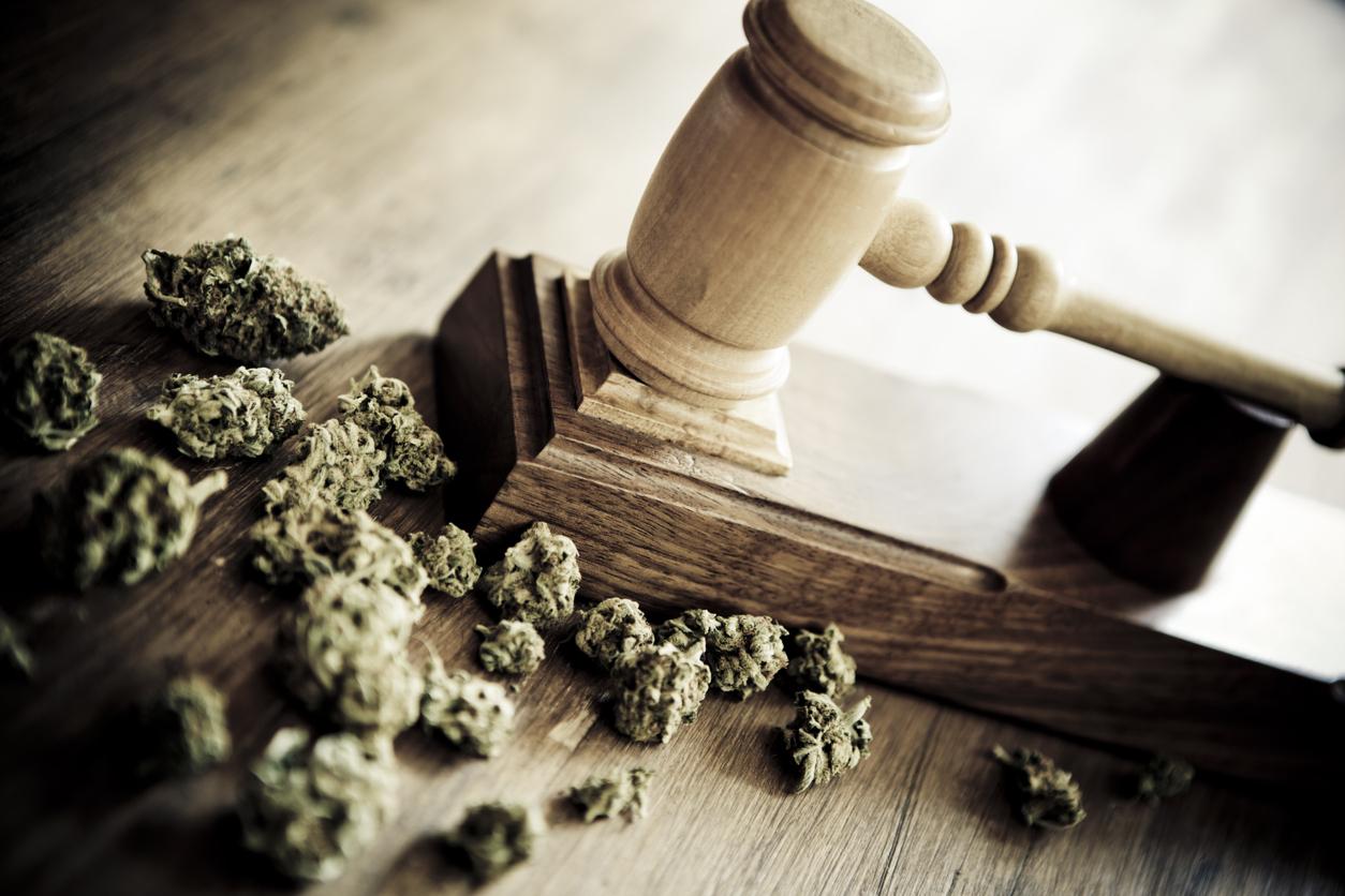 Wochenrückblick: Cannabis-Legalisierung, UV-Schutz im Frühling, Eu-weite Gesundheitsdaten und Pflaster für Herzen