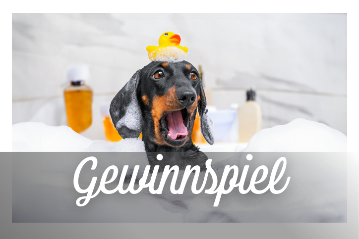 Gewinnspiel: Zitronig-spritzige Pflege f&uuml;r die hei&szlig;en Sommertage