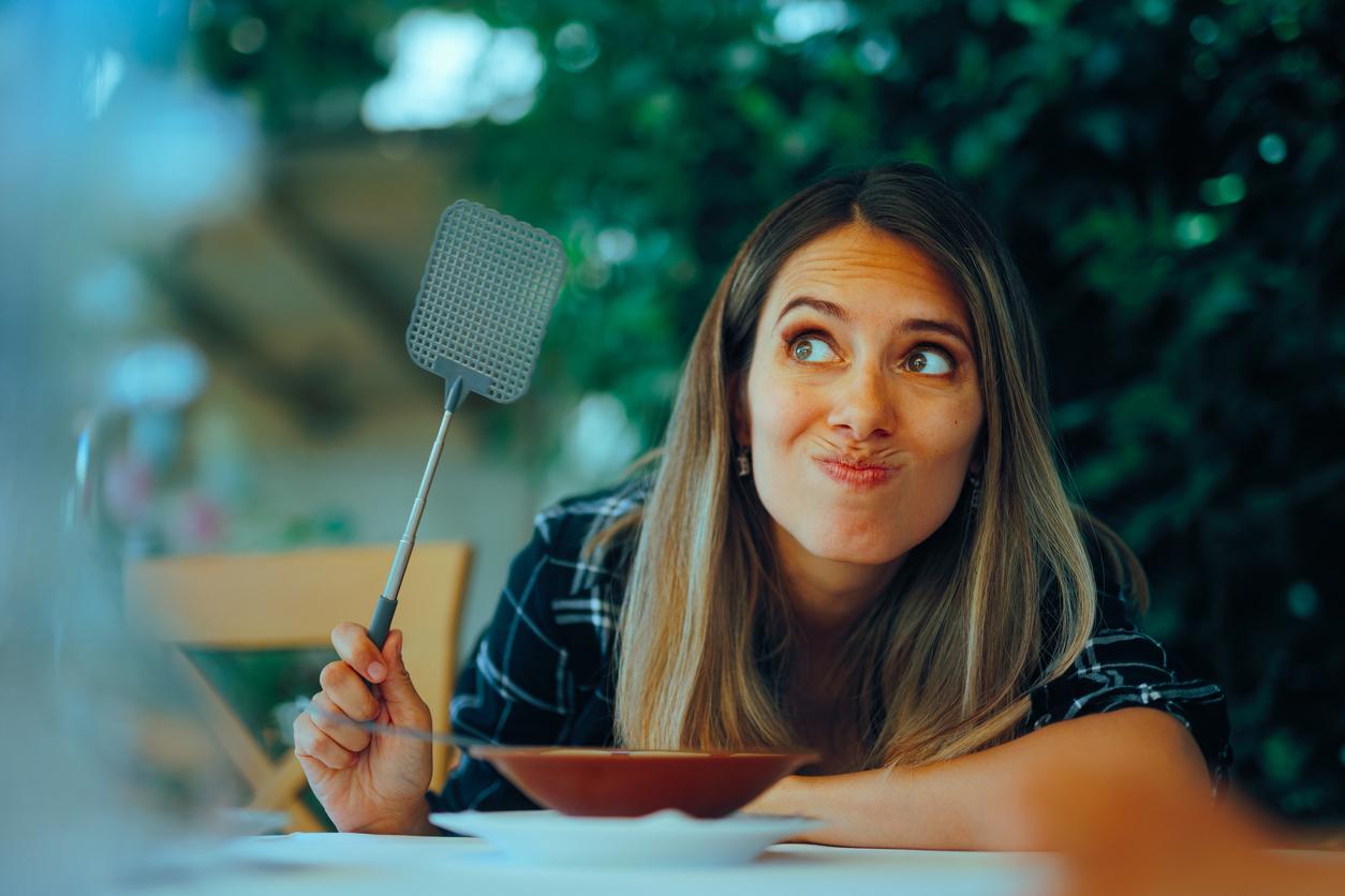 M&uuml;ckenschw&auml;rme auf der Jagd &ndash; was hilft gegen die Biester?