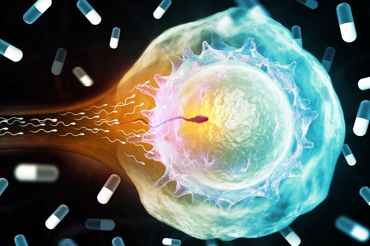 K&uuml;nstliche Befruchtung: Das kommt auf Paare zu