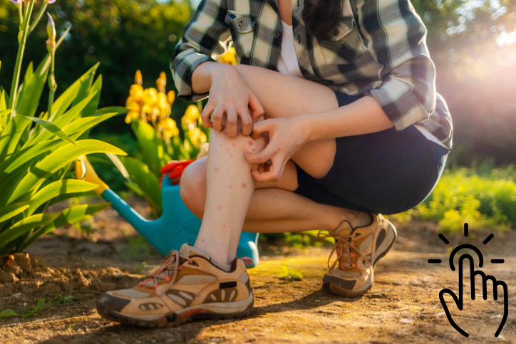 Hilfe bei Insektenstichen