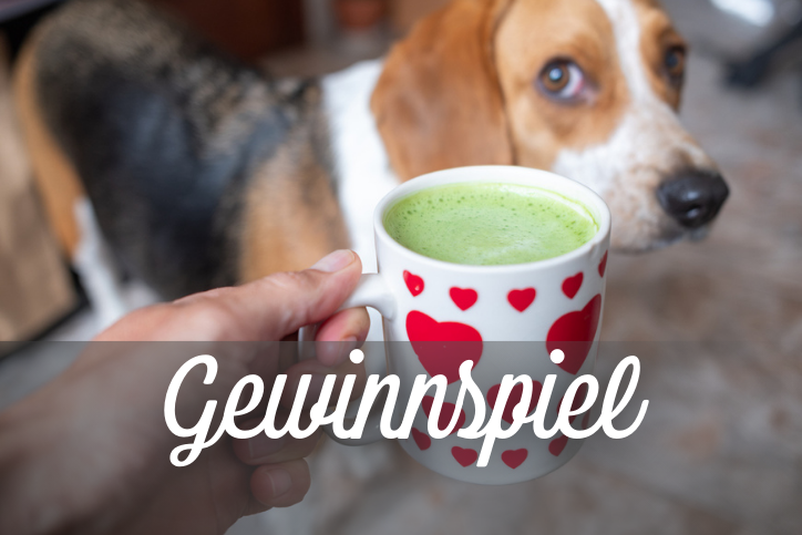 Gewinne dein Matcha-Set 💚
