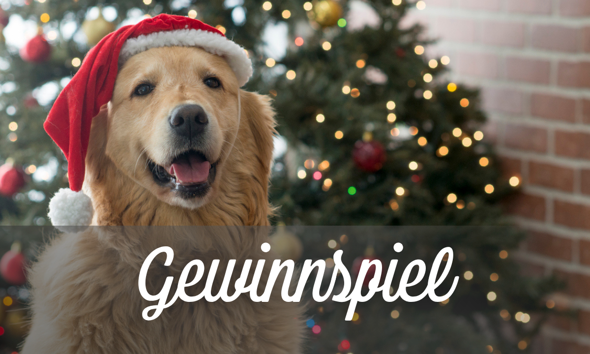 🎄Gewinne Rätsel-Spaß für die Vorweihnachtszeit