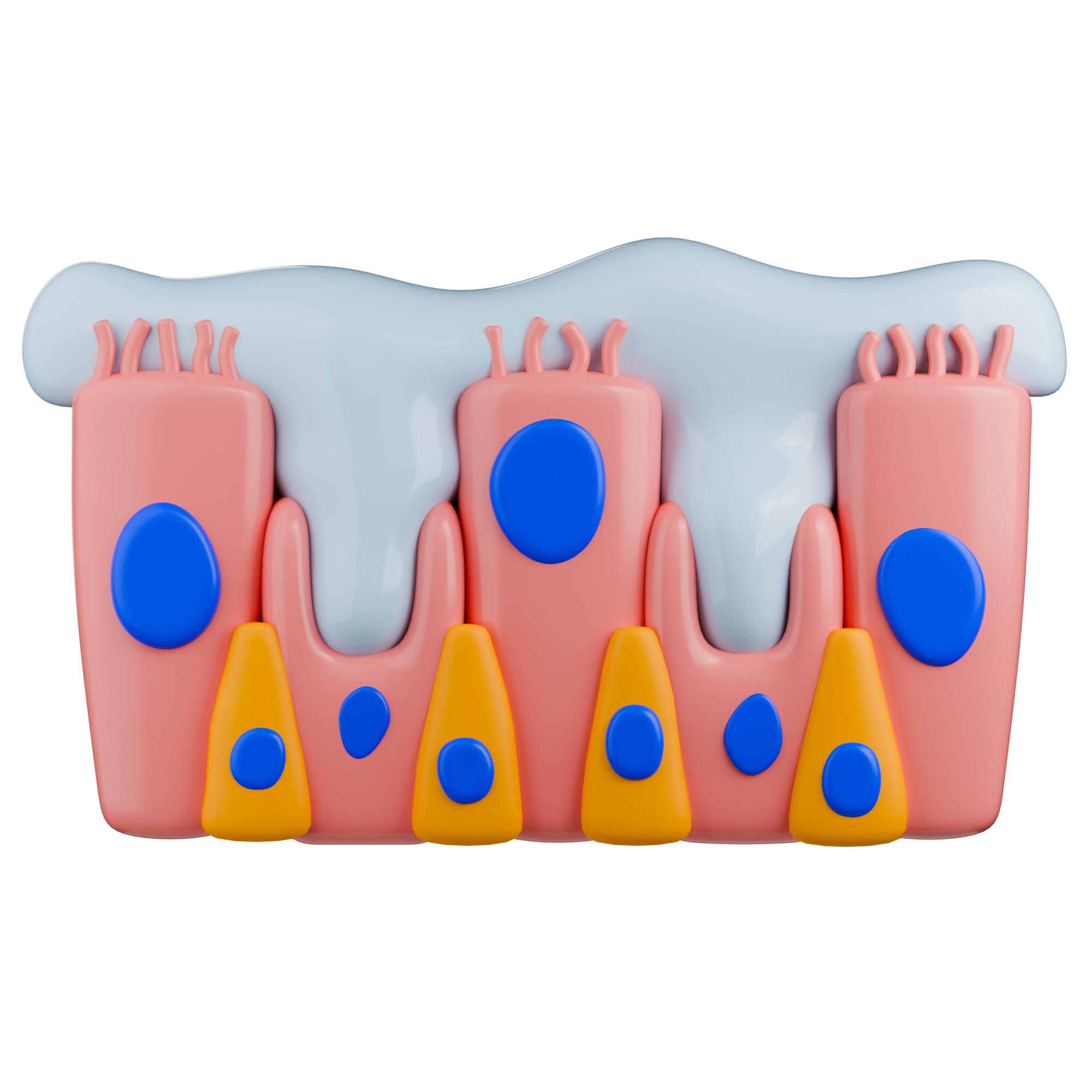 Schleimh&auml;ute: Die unsichtbaren Bodyguards