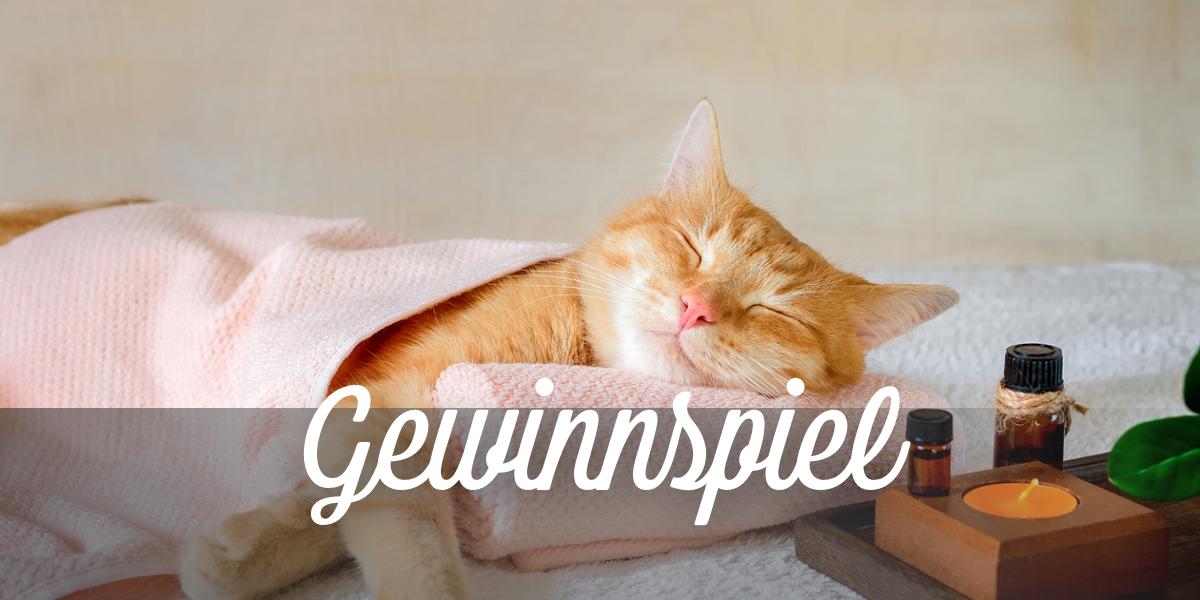 🌿🎀 Gewinne dein After-Work-Beauty-Set