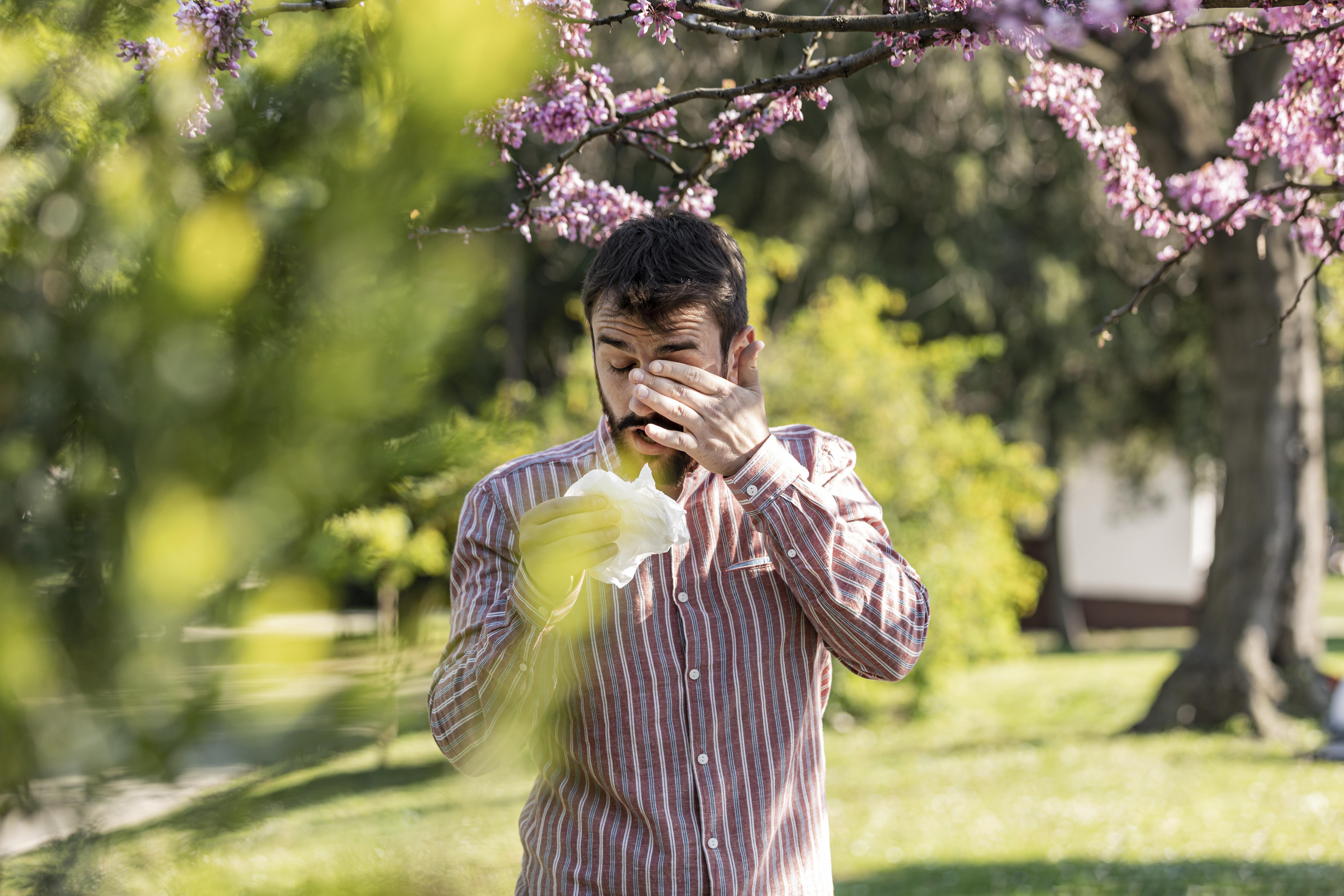 Pollen im Anflug: Augen im Alarmzustand