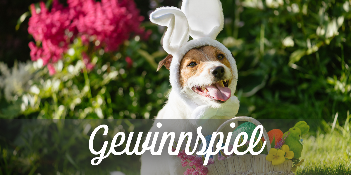 Gewinne deine nachtr&auml;gliche Oster-&Uuml;berraschung 💝🐰