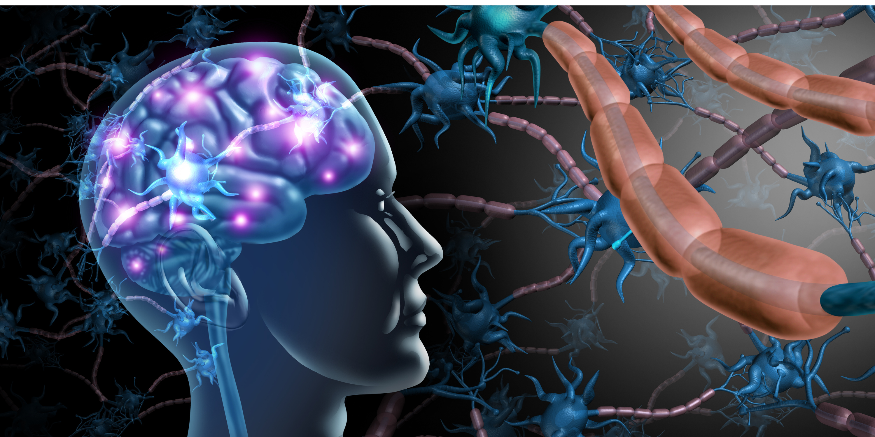 Botenstoffe: Grundprinzipien & Transmitter