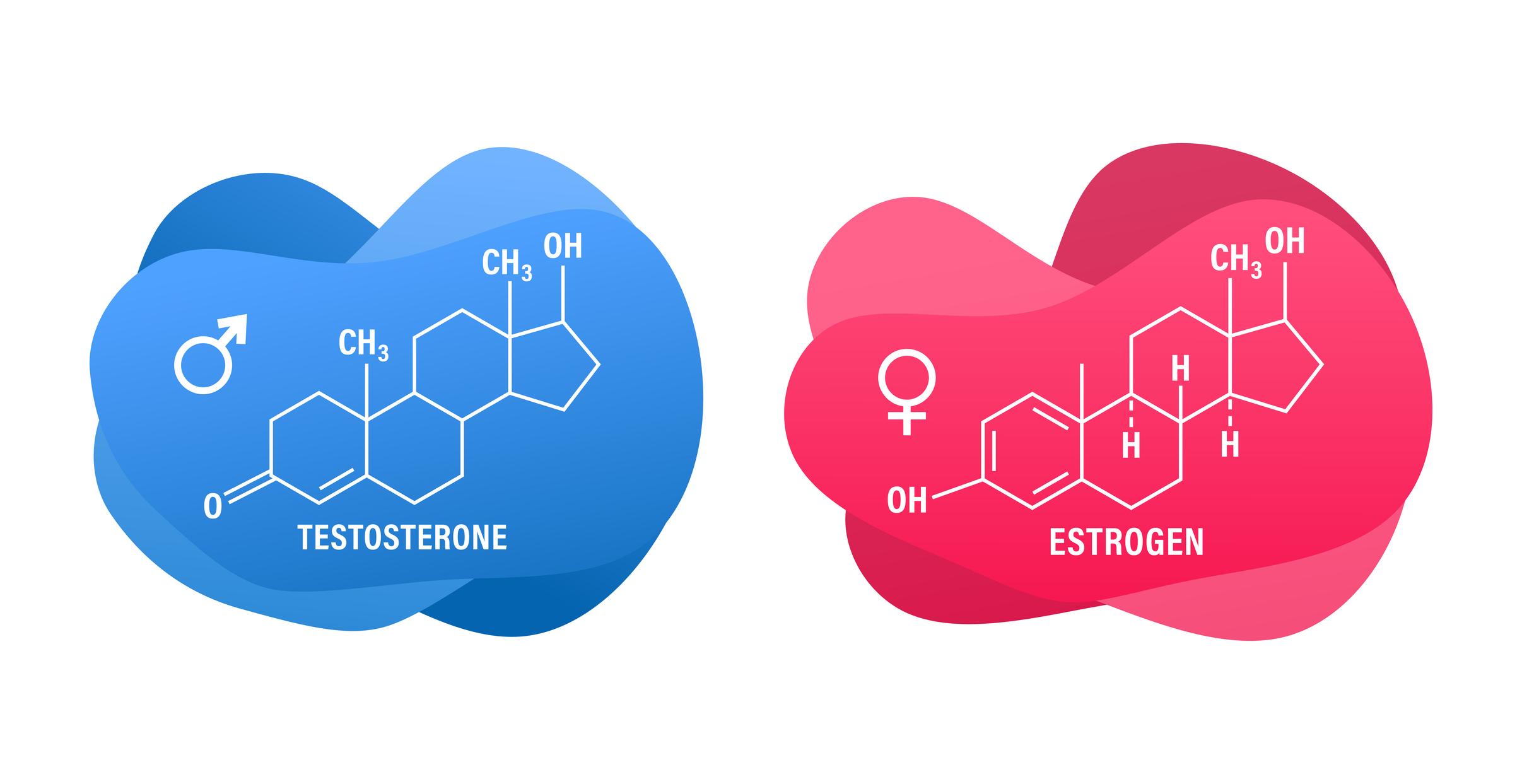 Botenstoffe: Endokrine Hormone & lokale Mediatoren