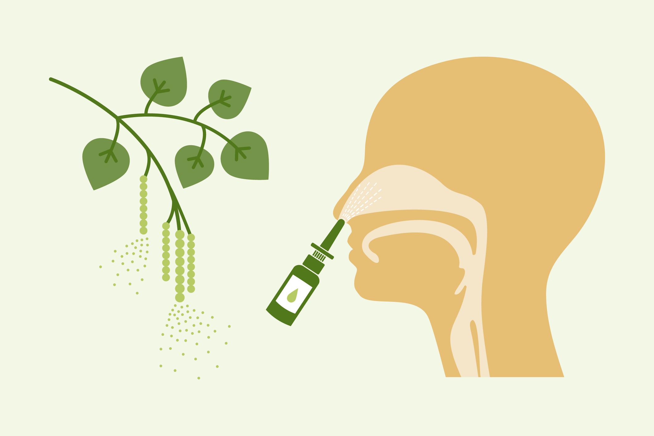 Nasale Glucocorticoide: Der Goldstandard bei allergischer Rhinitis 