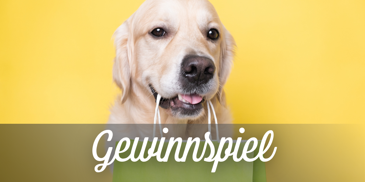 Gewinne deinen neuen Lieblings-Shopper 