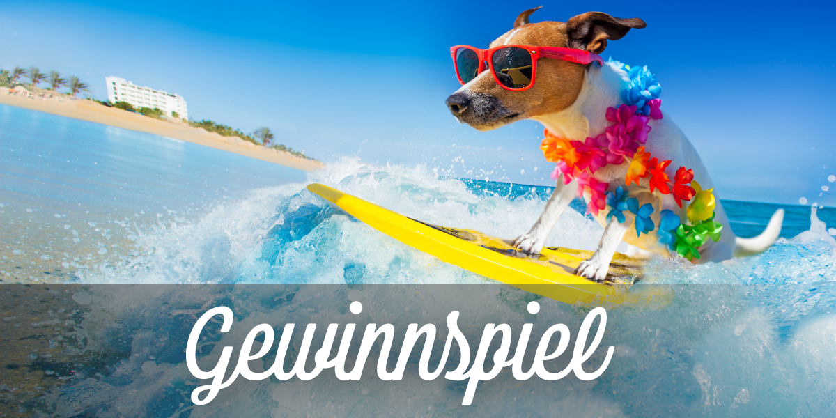 Gewinne ☀️-Power f&uuml;r unterwegs