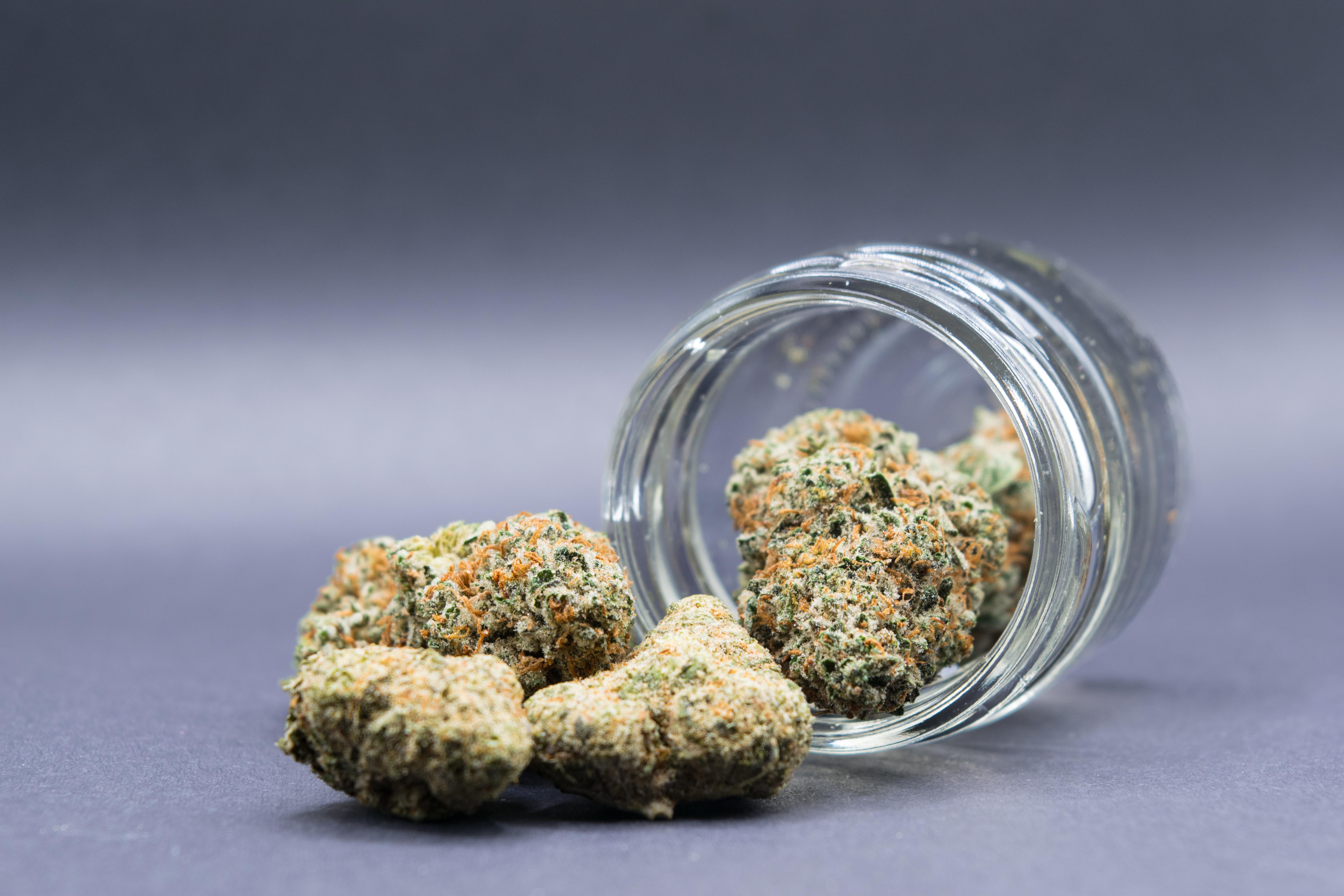 Wochenr&uuml;ckblick: Cannabis-Aus in der GKV, neue Leitlinie und Covid-19-News 